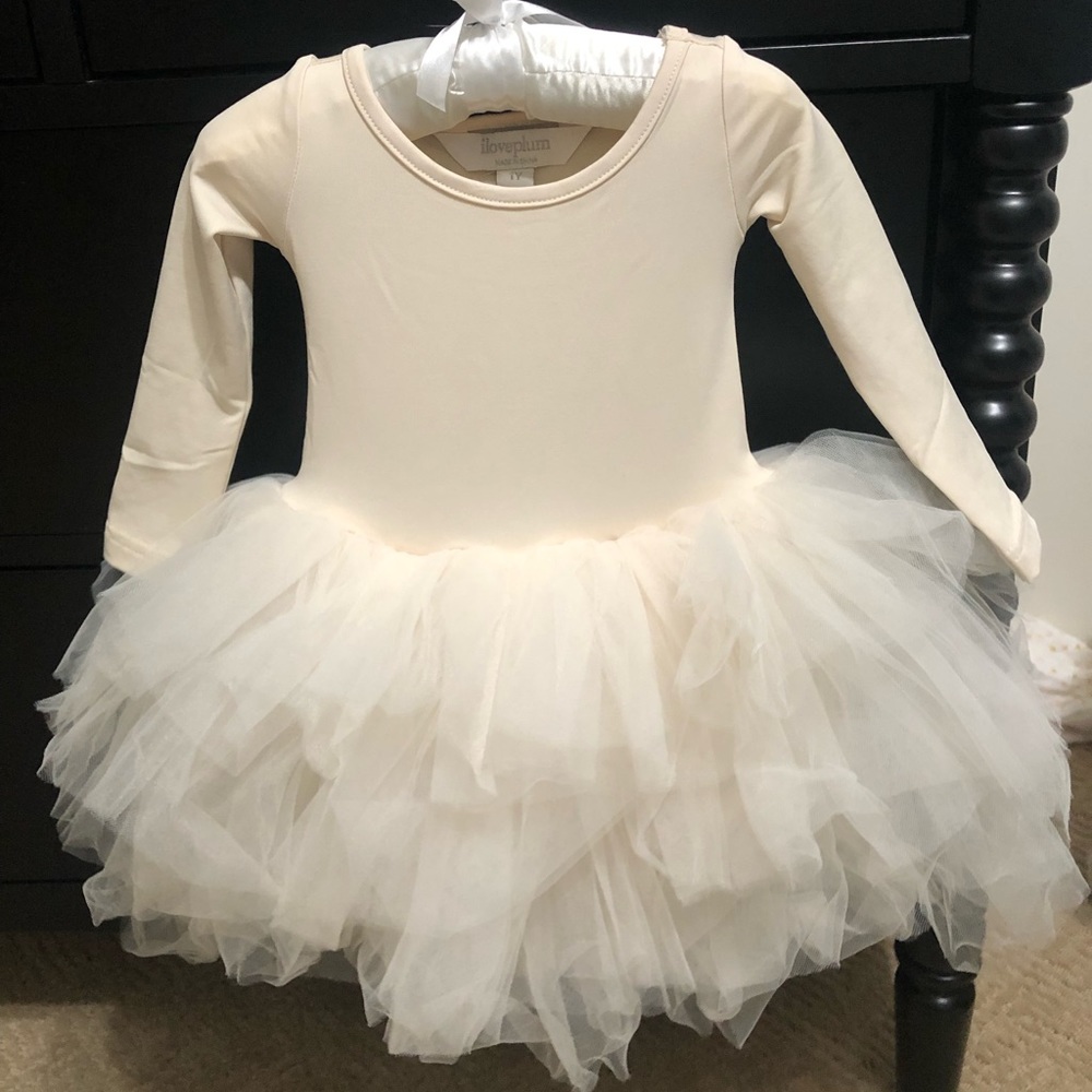 I Love Plum tulle tutu leotard dress